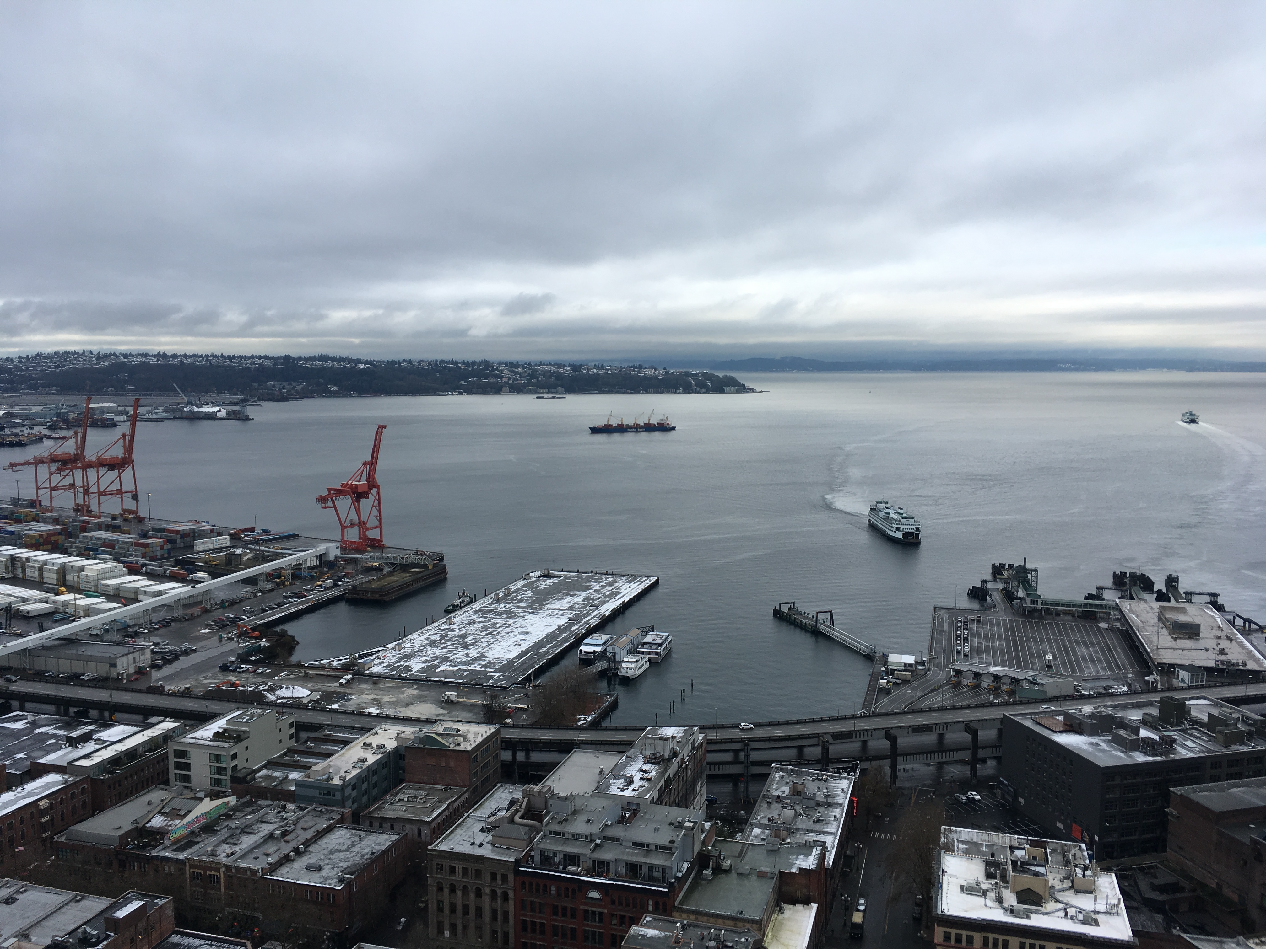 An view to the coast of Seattle with a lot of piers and cranes on the water's edge.