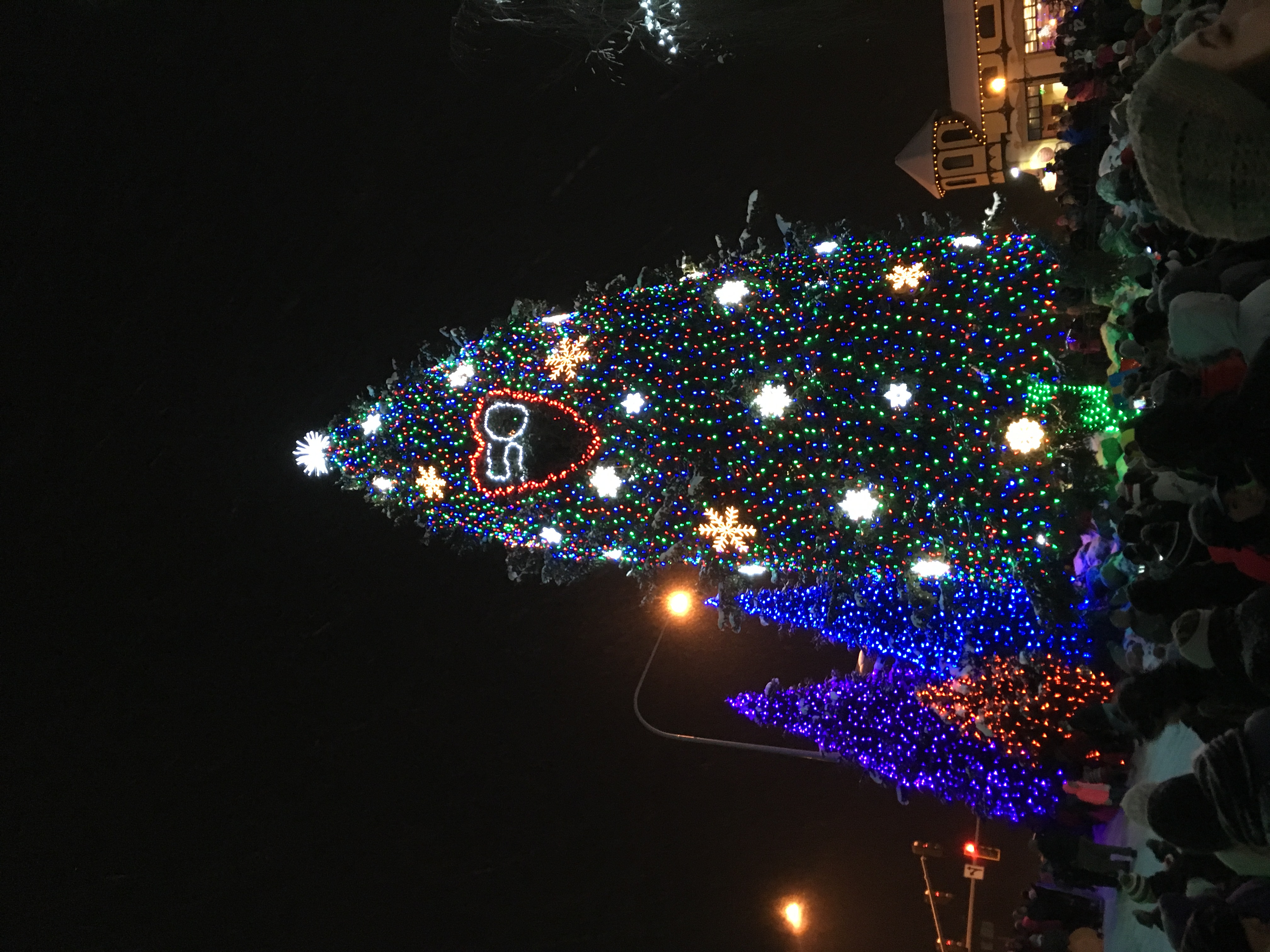 A large outdoor Christmas tree full of lights, with lite snowflakes, and a big red heart with 