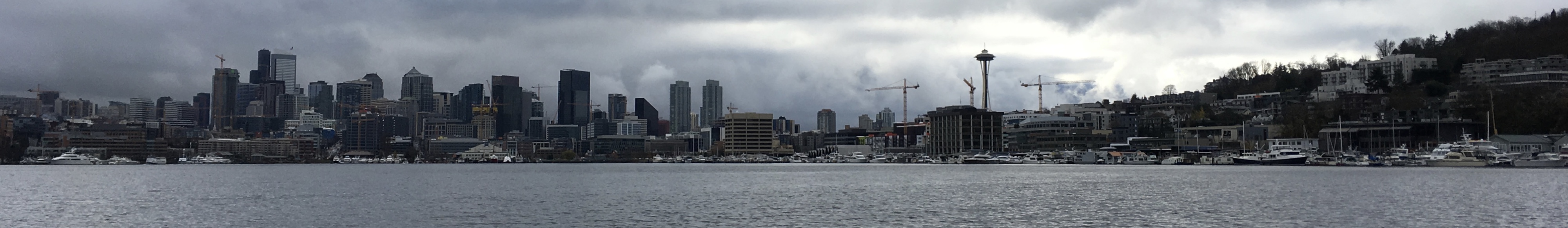 A panoramic image of the Seattle skyline with water in the foreground.