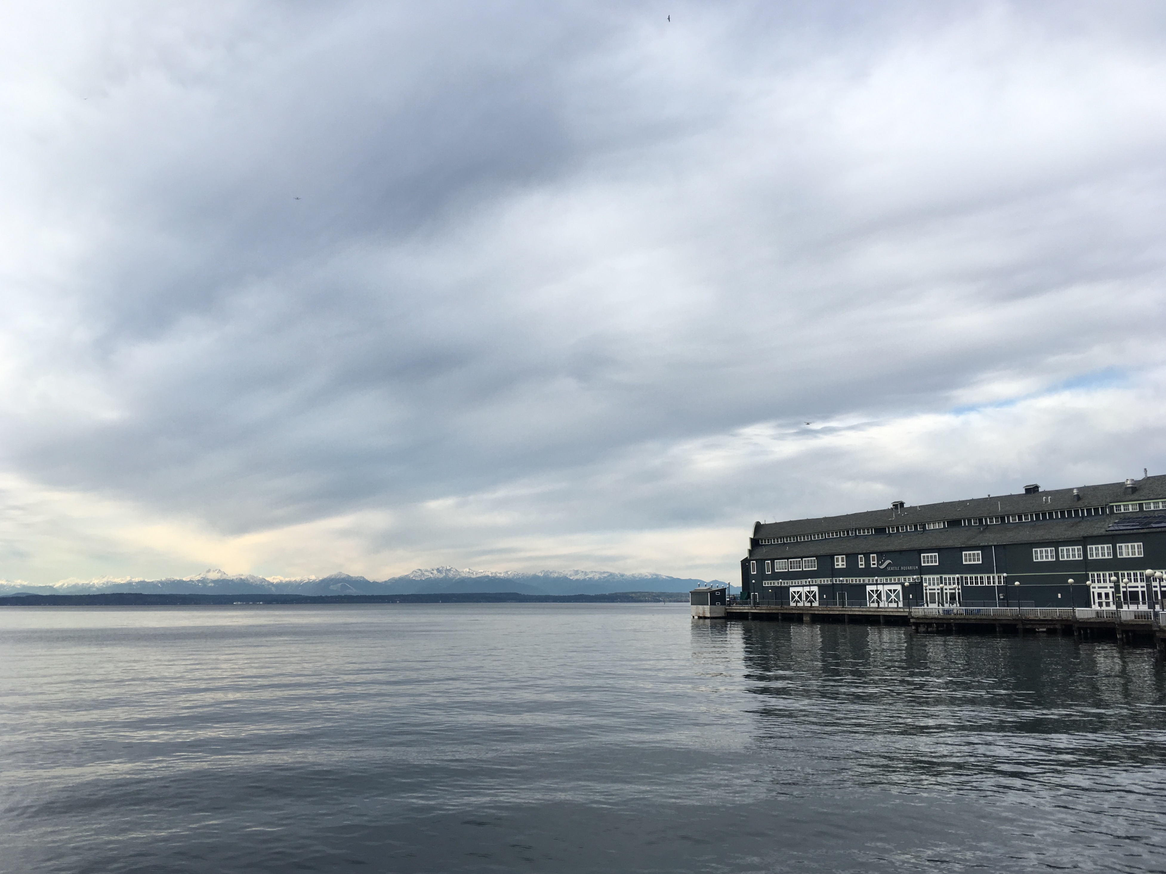 The Seattle Aquarium building on a pier extending out into the water, with snow capped mountains in the distance.